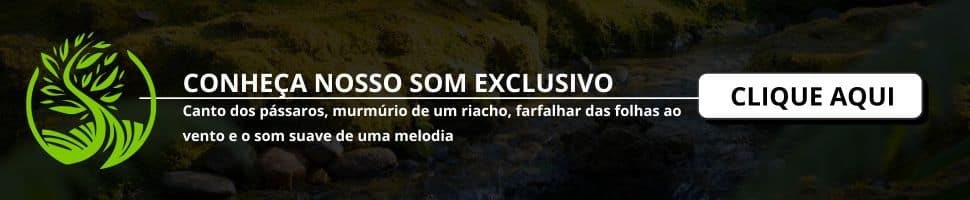 sons podem influenciar sua rotina diária